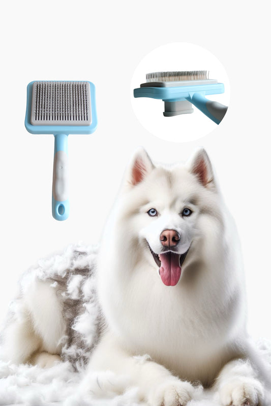 Pet Grooming Brush